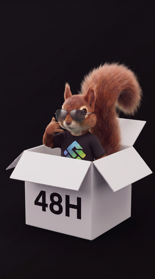 Maskotka SQ4APP — wiewiórka w pudełku, strona w 48h